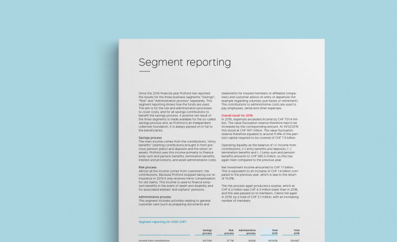 Profond's segment reporting